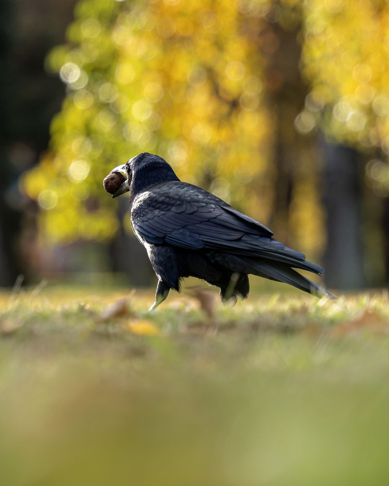 Photograph by Anton Leonchikov