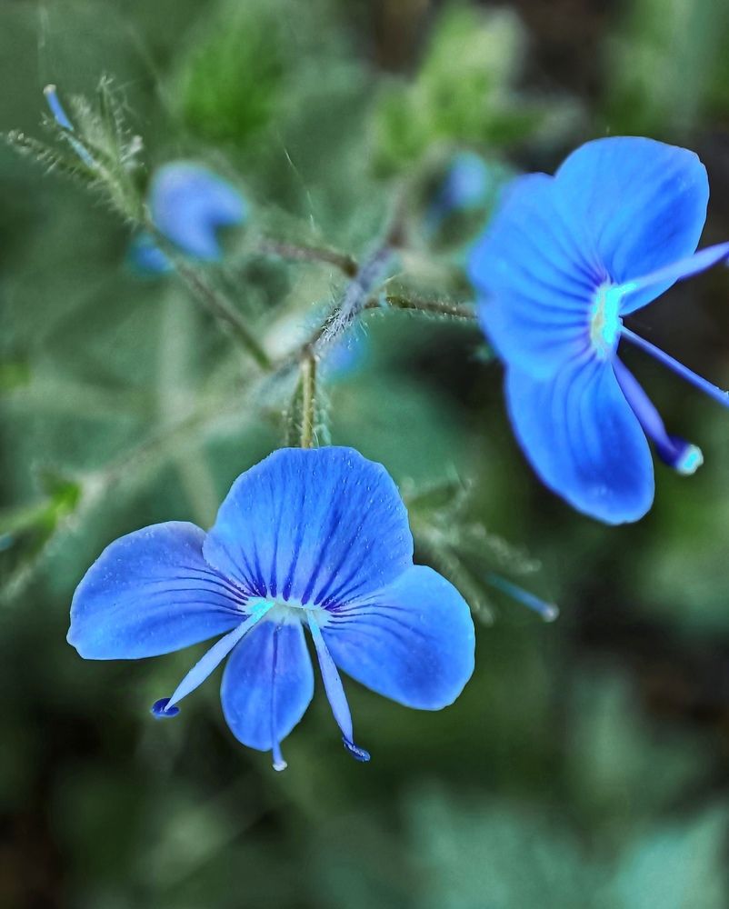 Photograph by Елена Пархоменко