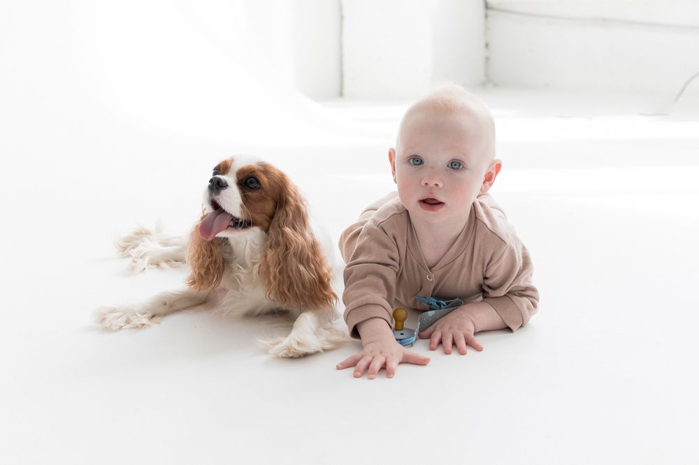 Photograph by Виктория Булатова