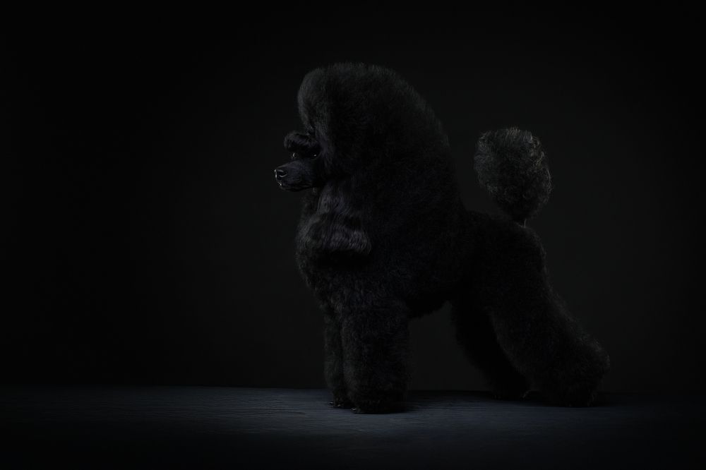 Photograph by Светлана Писарева