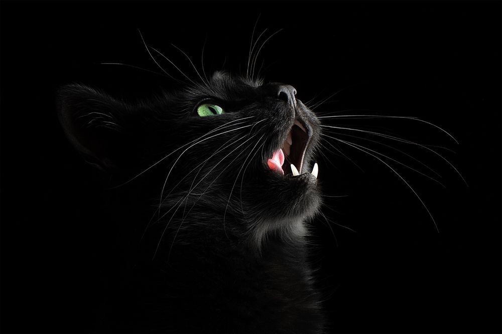 Photograph by Светлана Писарева