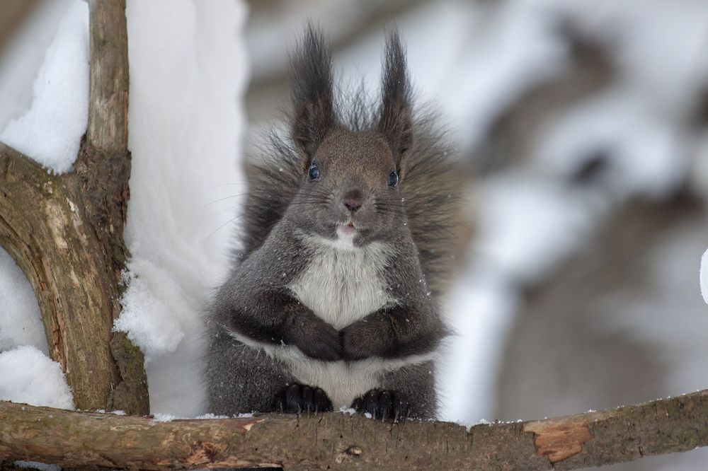 Photograph by ЕЛЕНА Рохо-Фернандес