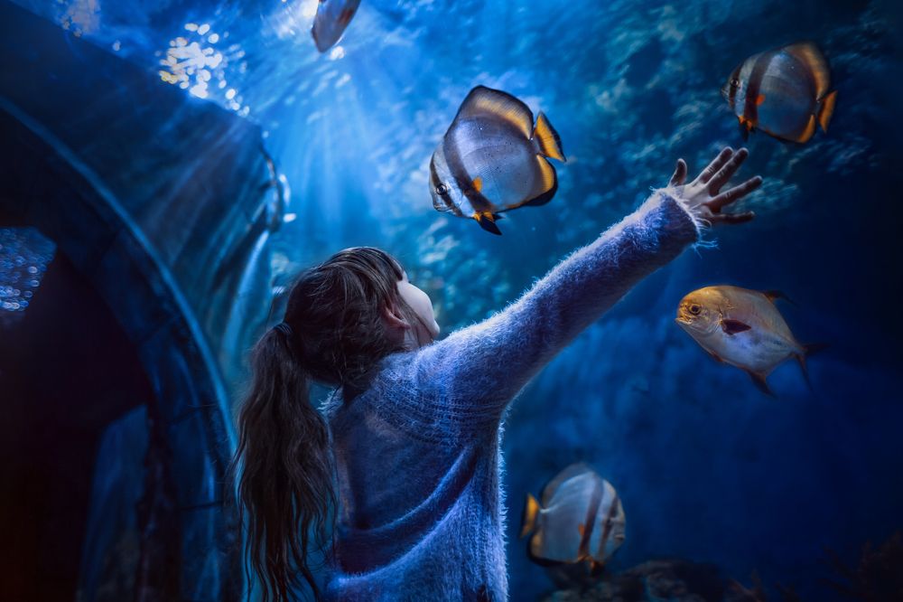 Photograph by Онучина Юлия