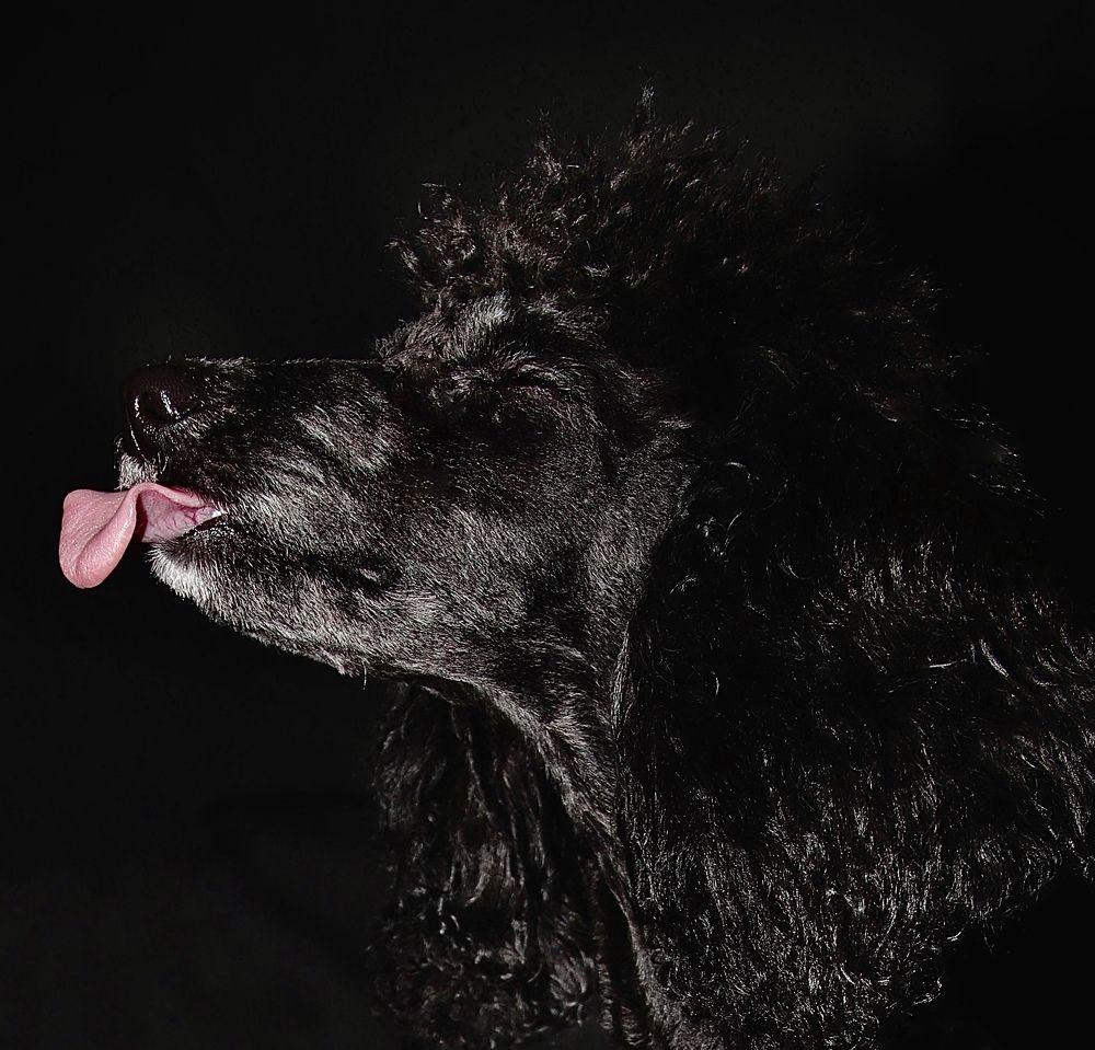 Photograph by Гуляева Светлана