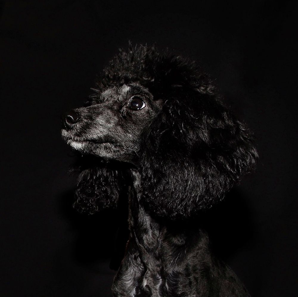 Photograph by Гуляева Светлана