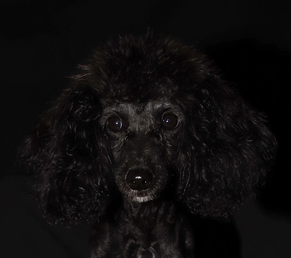 Photograph by Гуляева Светлана