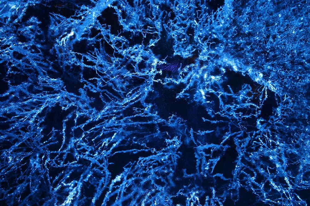 Photograph by Анастасия Свиридова