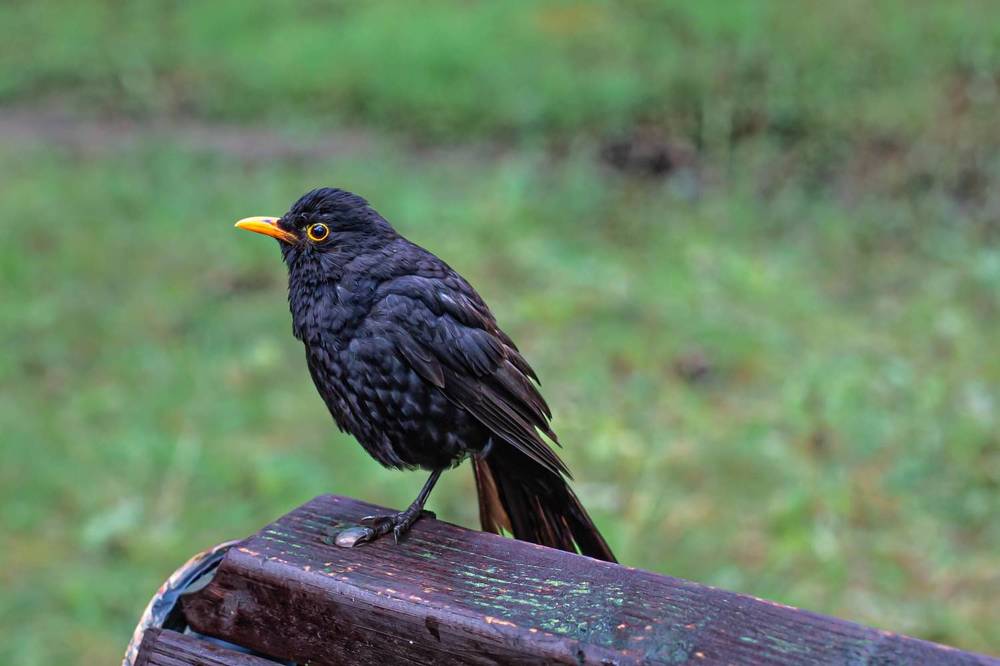 Photograph by Виталий Са