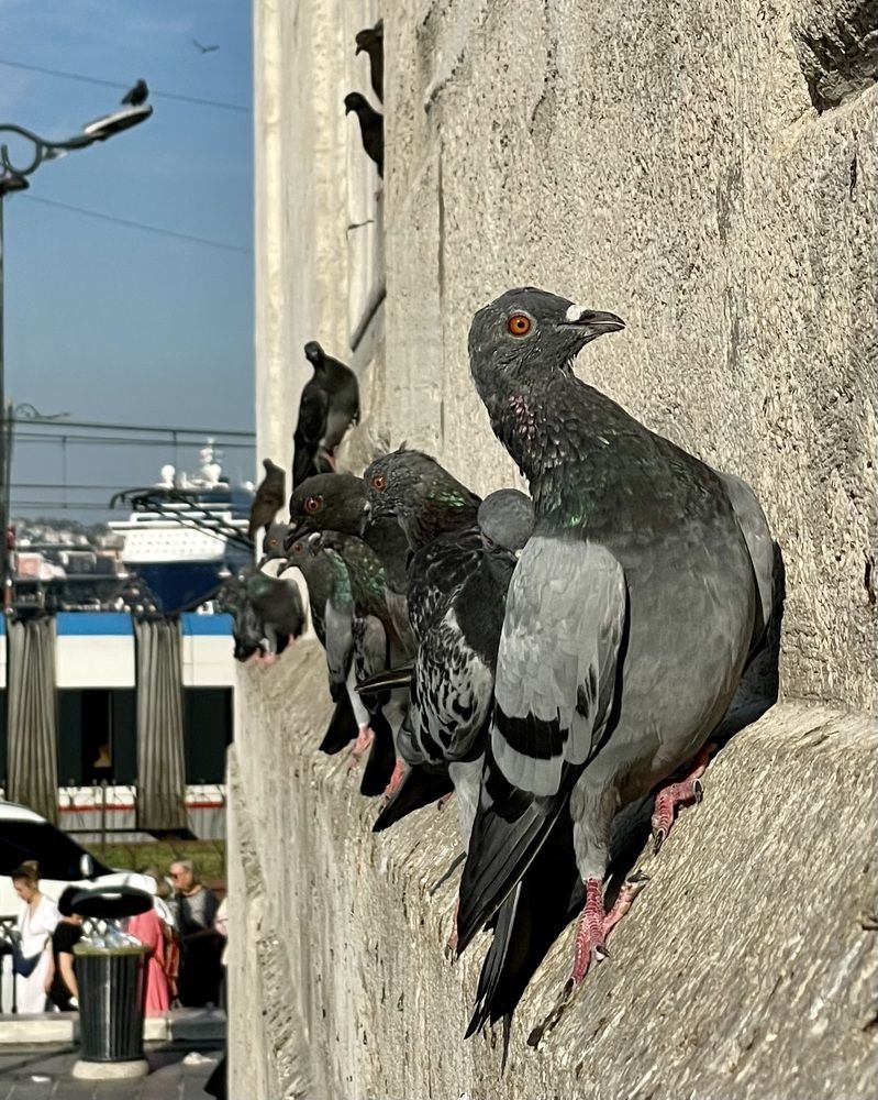 Photograph by Марина Измайлова