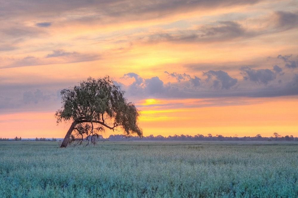 Photograph by Юрий Спасенников
