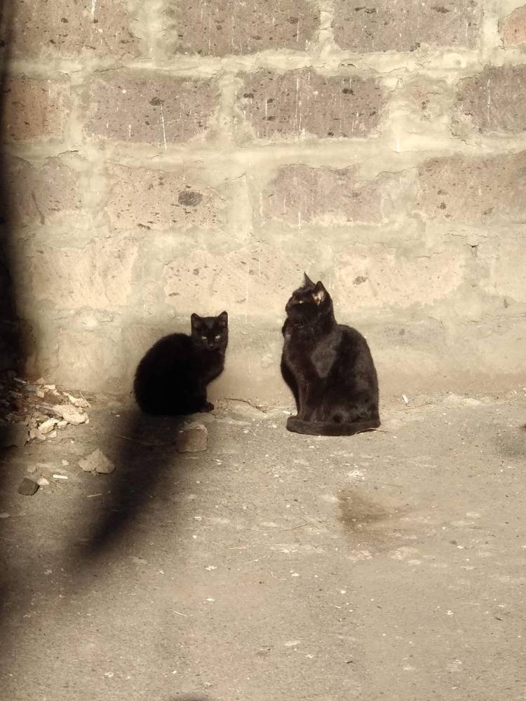 Photograph by Lilit Petrosyan