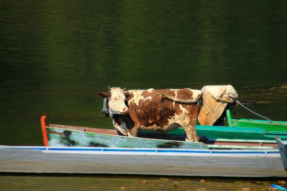 А я сяду в кабриолет