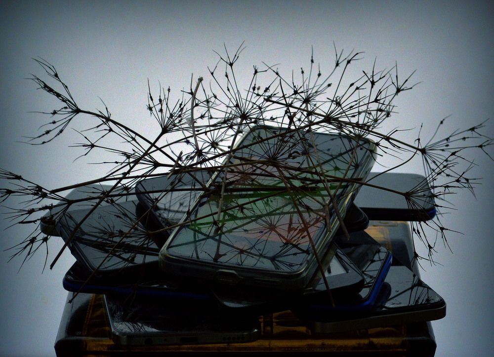 Photograph by Александр Зарх