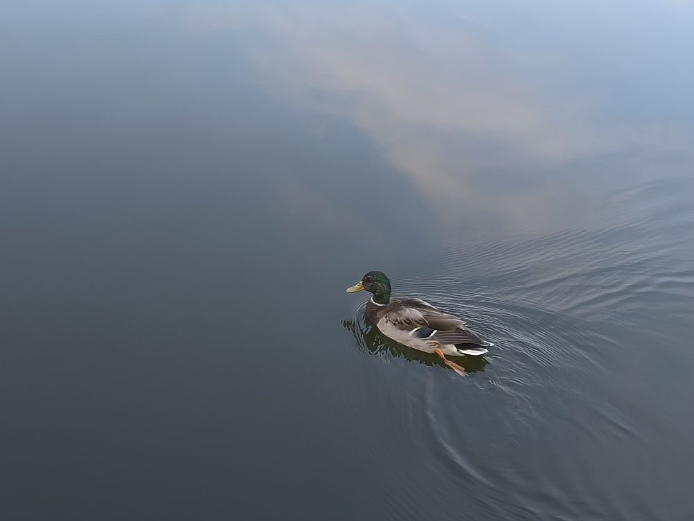 Photograph by Катрина Покумейко