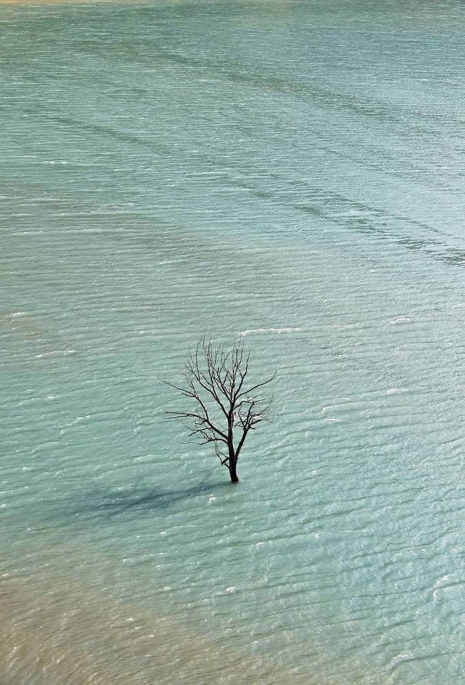 Photograph by Инна Майорова