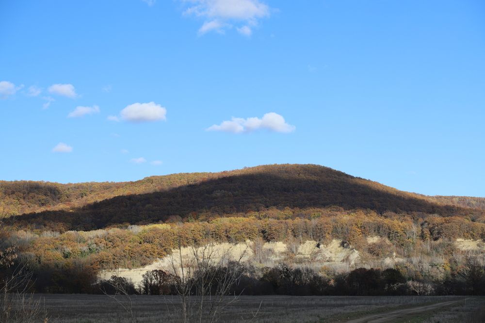 Photograph by Цибуляк Анна