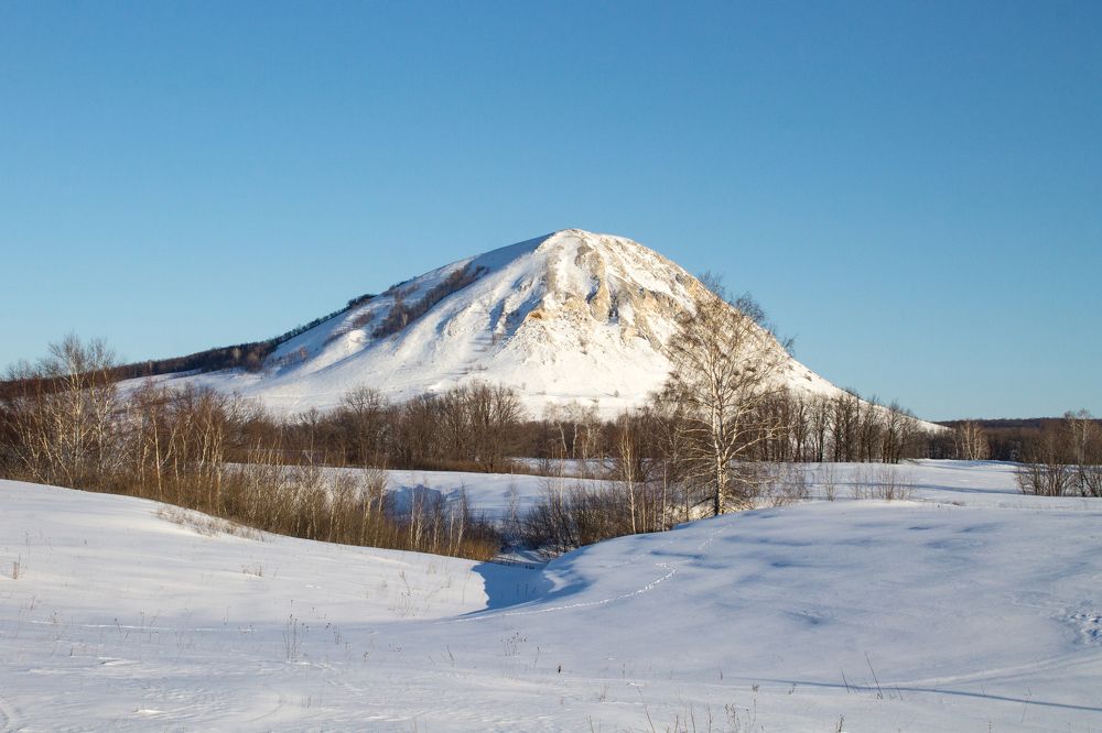 Фотография автора Дарья Рогозина