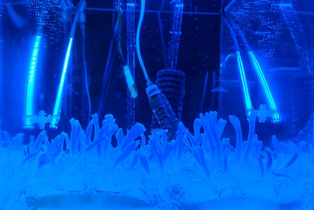 Photograph by Татьяна Герасимцева