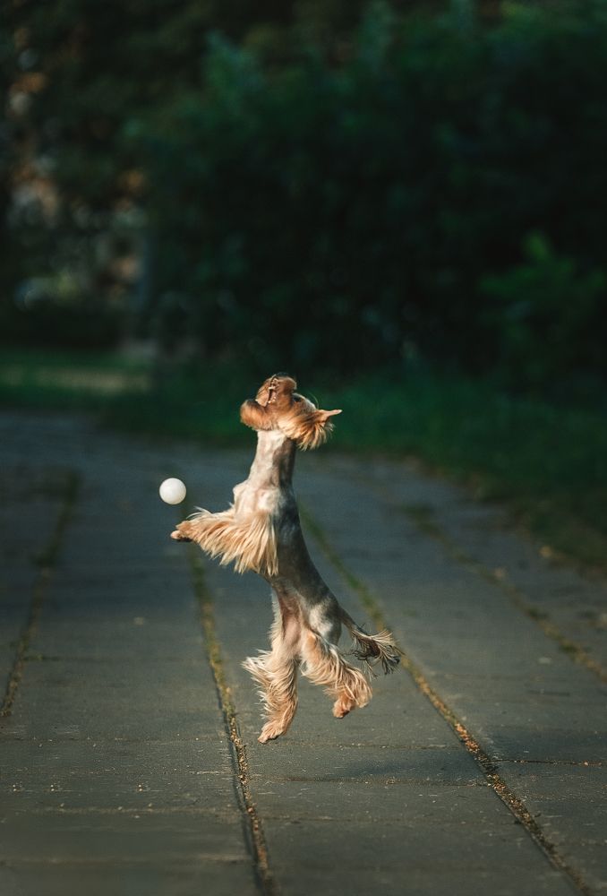 Фотография автора Анжелика