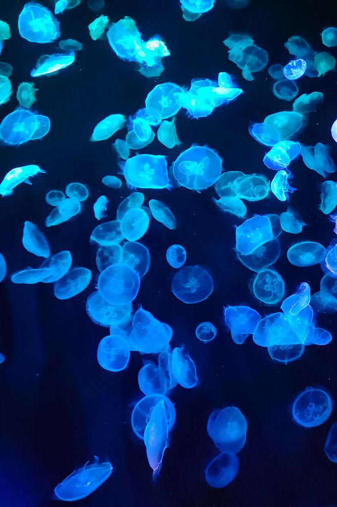 Photograph by Татьяна Герасимцева