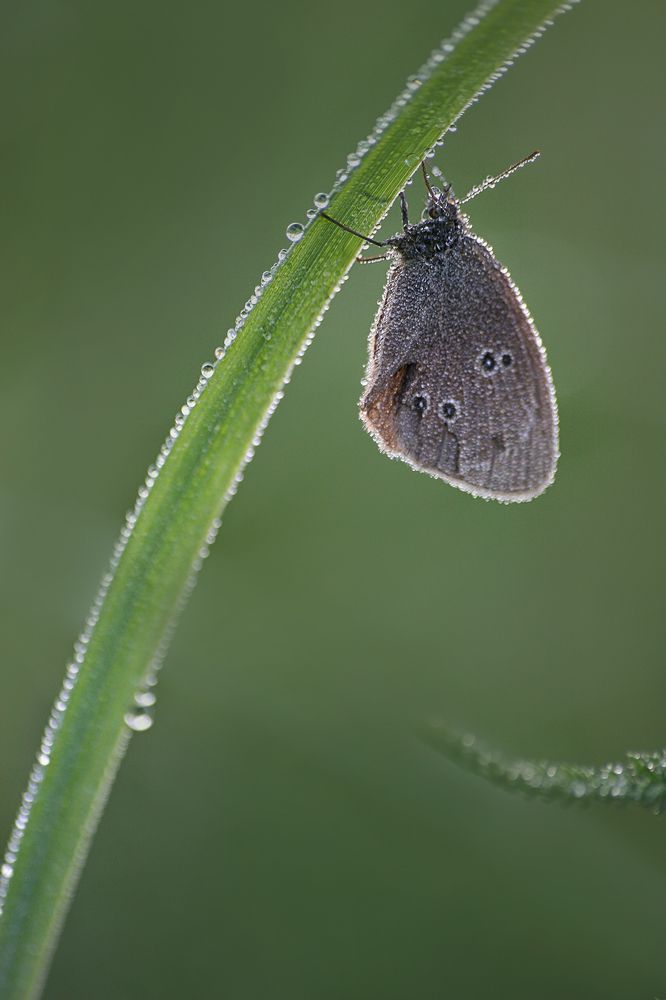 Фотография автора Онучина Юлия