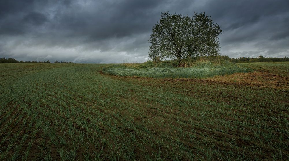 Фотография автора Онучина Юлия