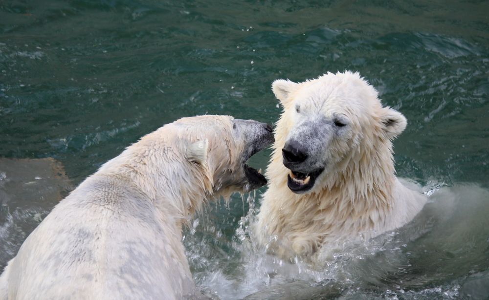 Photograph by Алексей Хазов