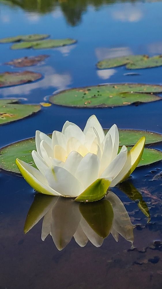 Photograph by Егор Жук