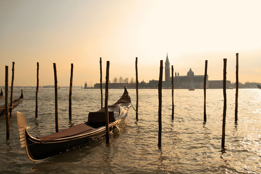 Фотография автора Онучина Юлия