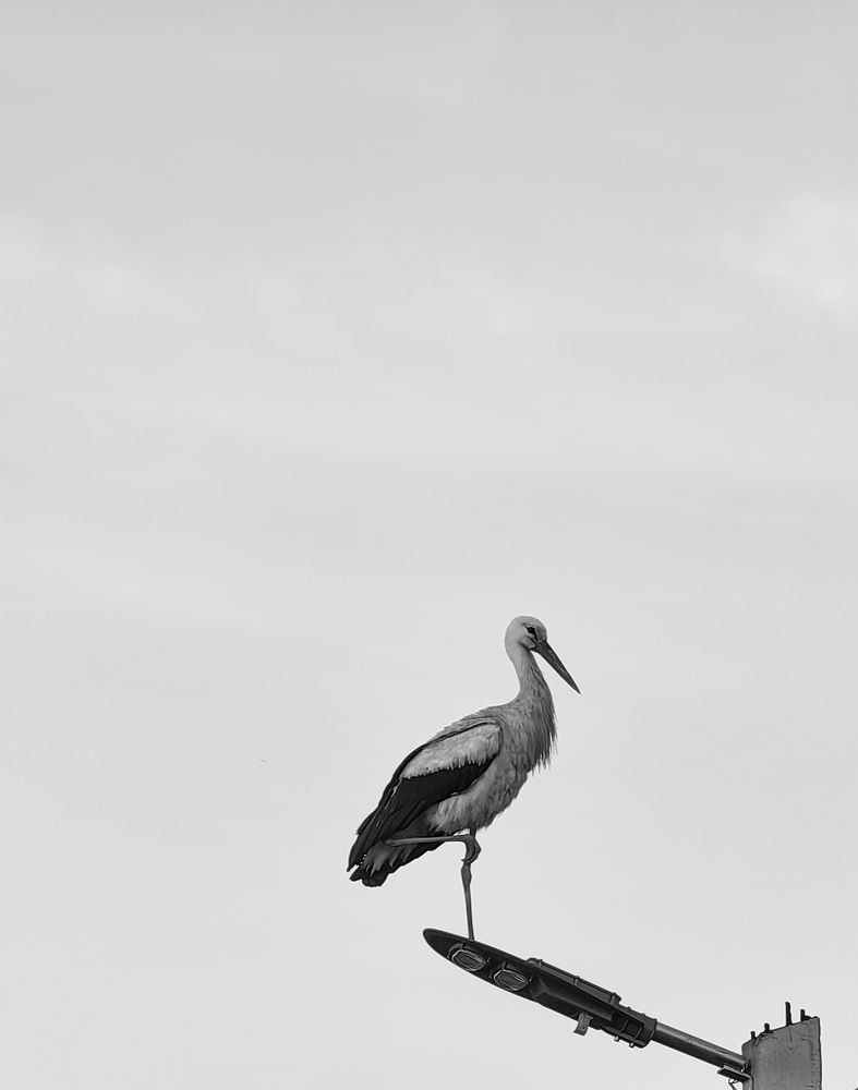 Фотография автора Ольга Панасюк