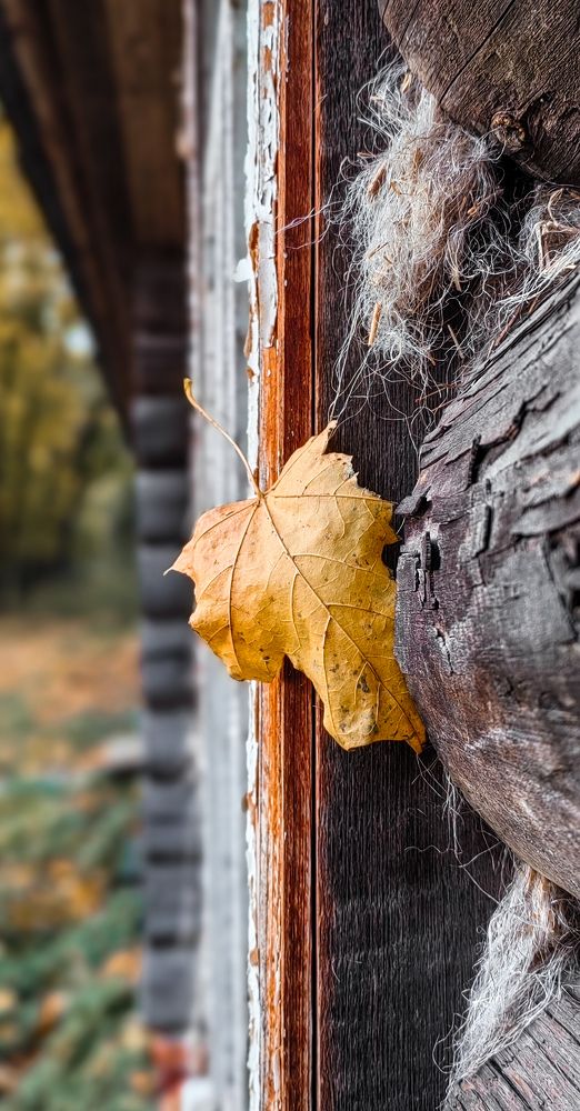 Photograph by Анастасия Семилетова