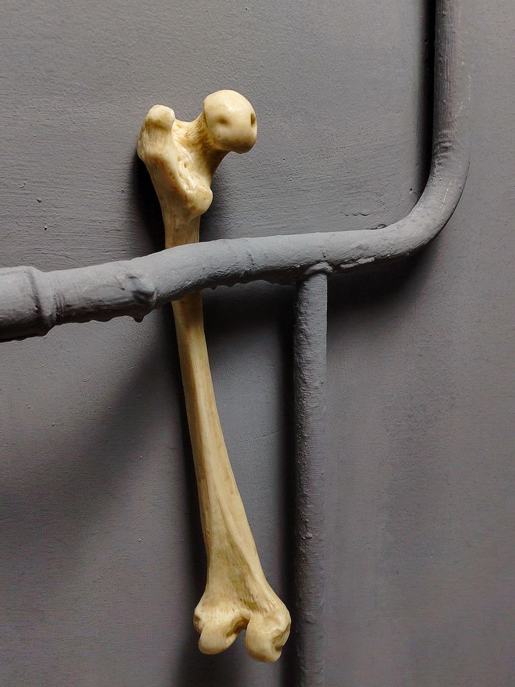 Фотография автора Алина