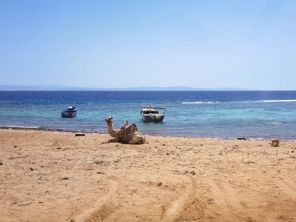 Photograph by Елена Ямнюк