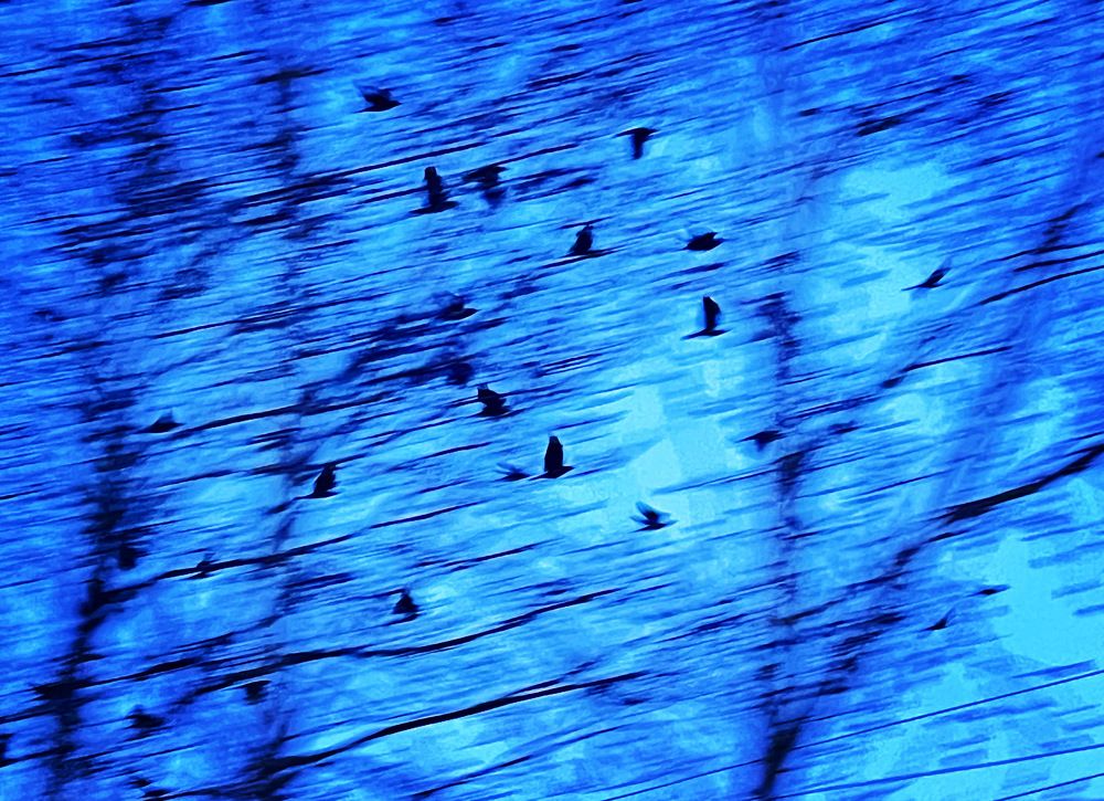 Photograph by Batsaikhan Badamdorj