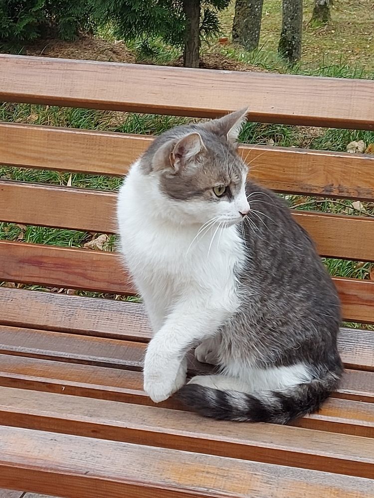 Photograph by ЭЛЬМИРА  ИСМАИЛОВА