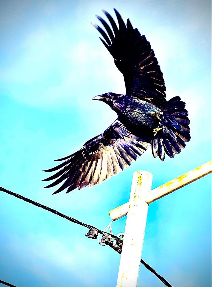 Photograph by Batsaikhan Badamdorj