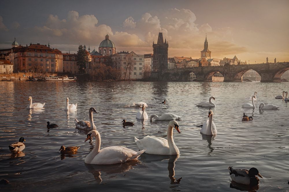 Photograph by Онучина Юлия