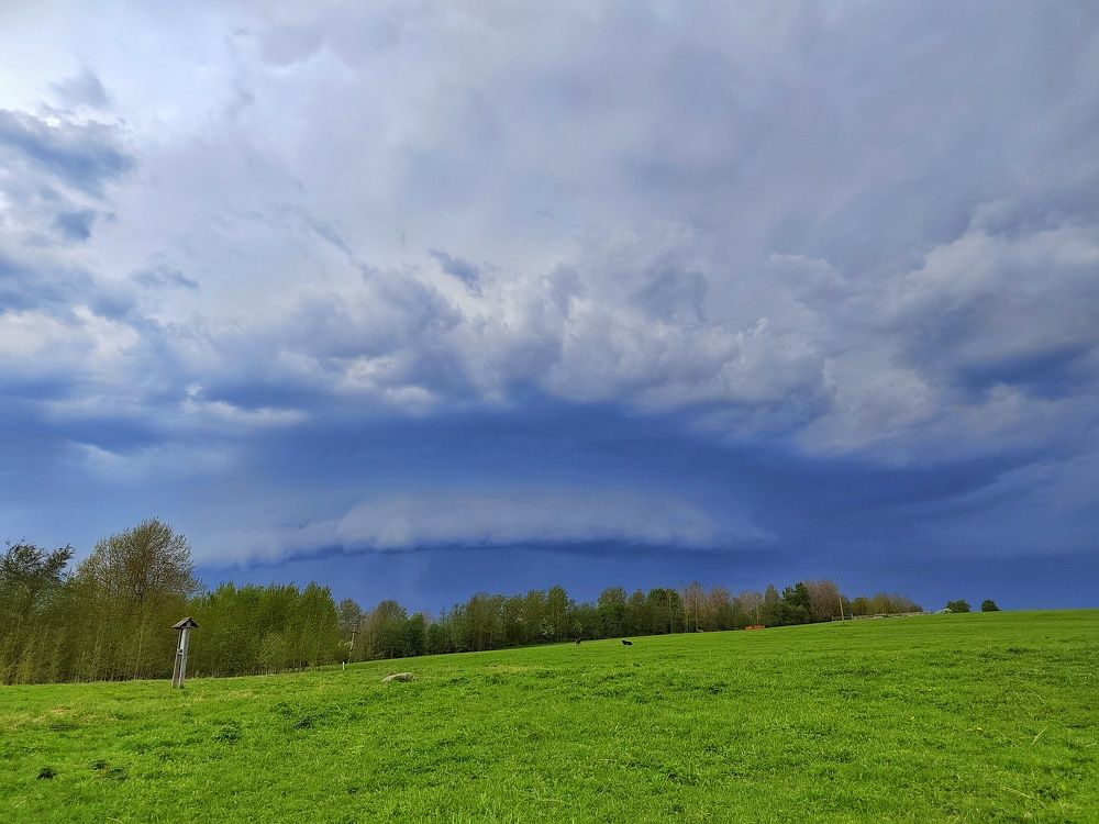 Photograph by Мария Тёмкина