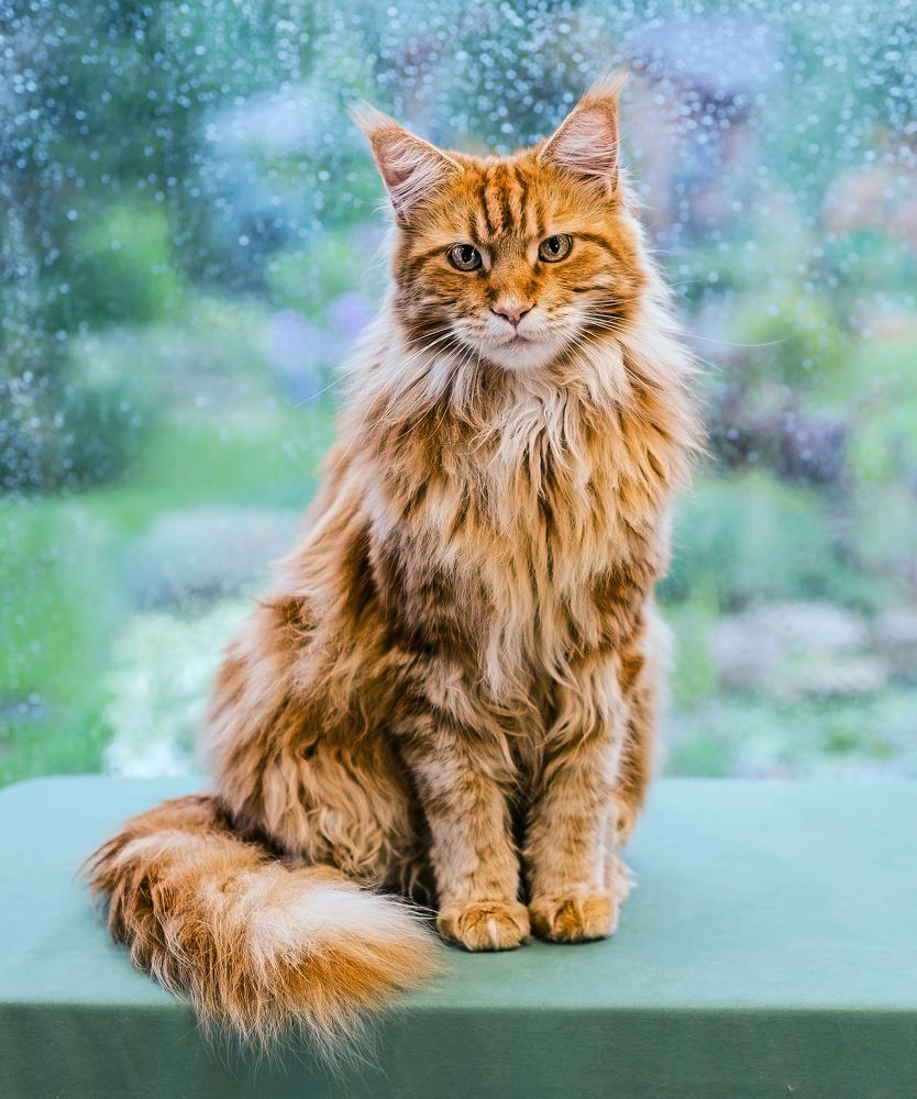 Photograph by NADEZHDA PELYMSKAIA