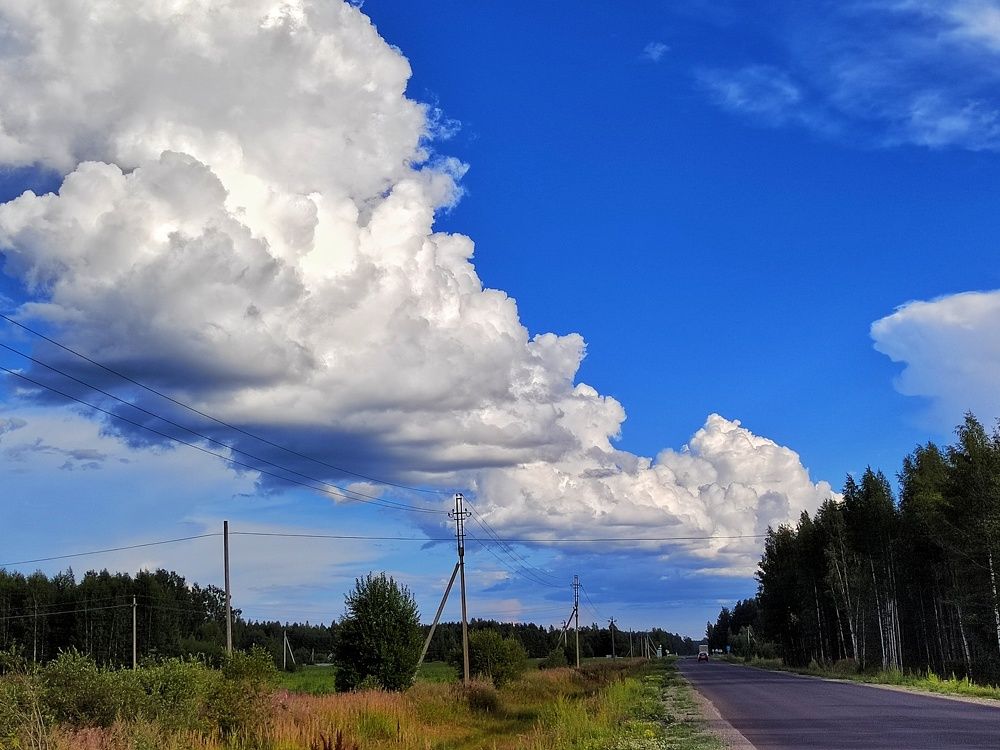 Photograph by Мария Тёмкина