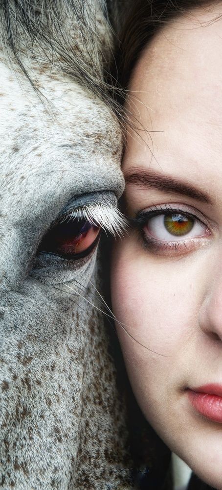 Связь человека и лошади