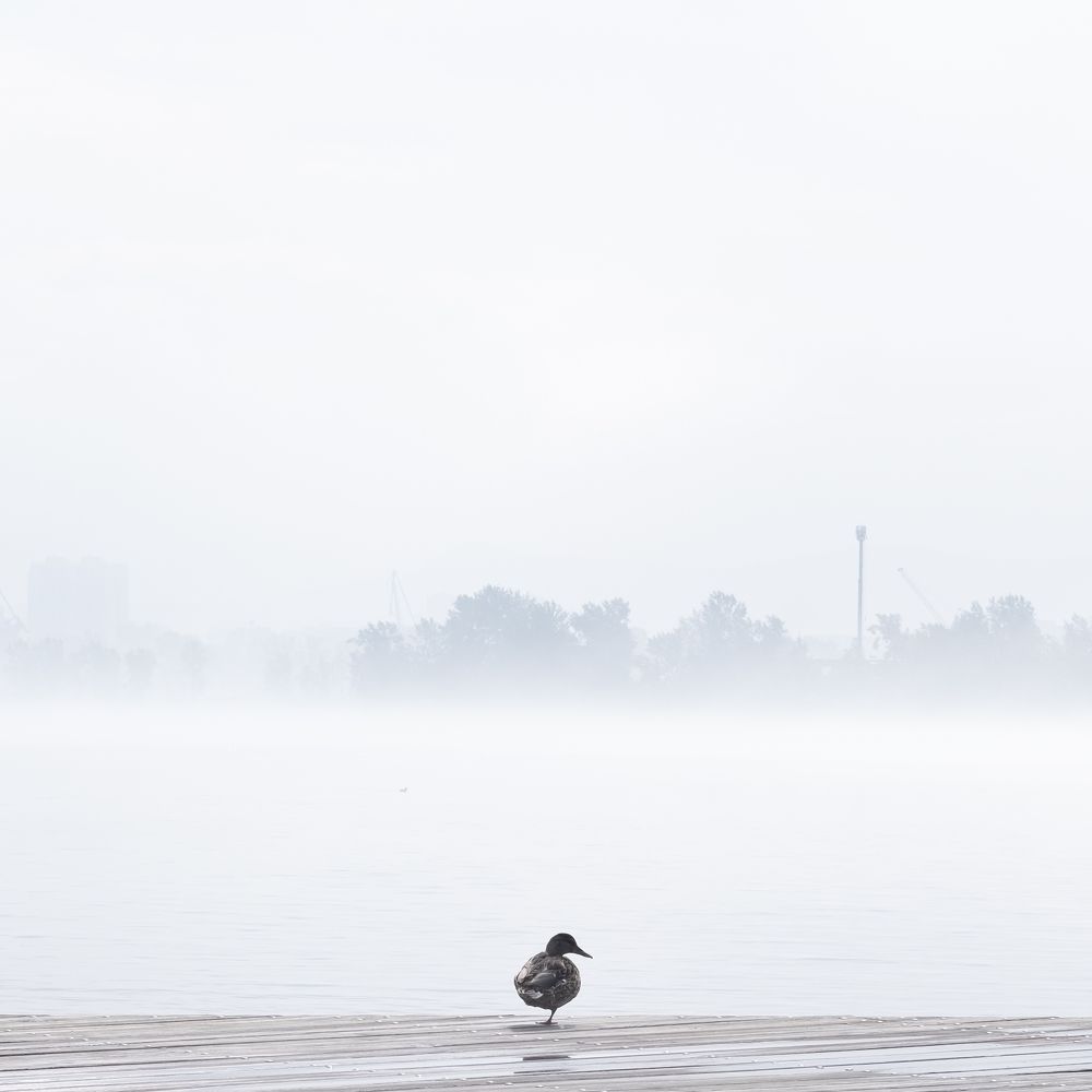 Photograph by Максим Куприянчик