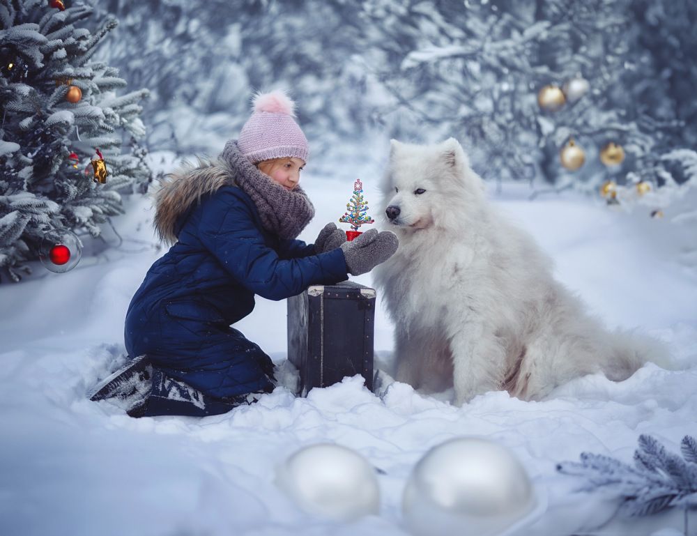 Photograph by Marina Ivanova