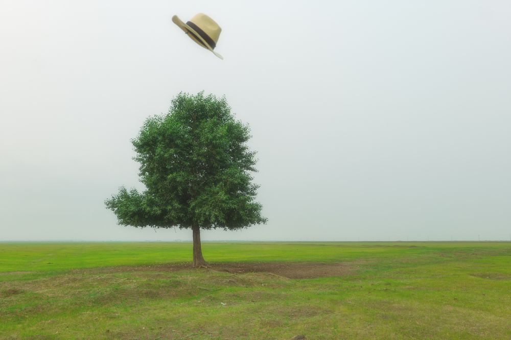 Photograph by Chen Chen