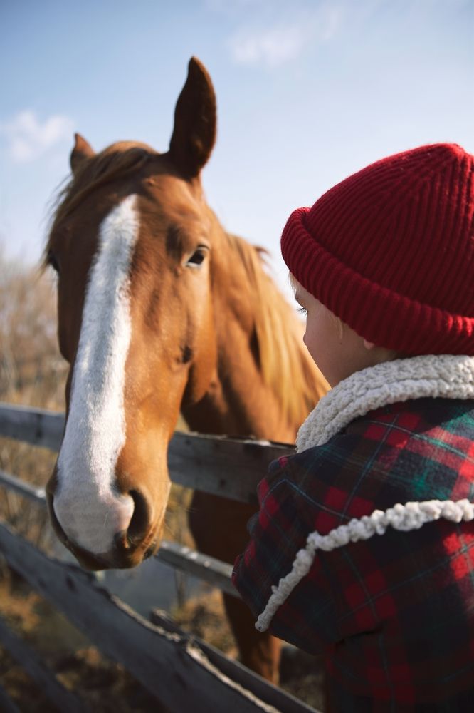 Photograph by Юлия Зозуля