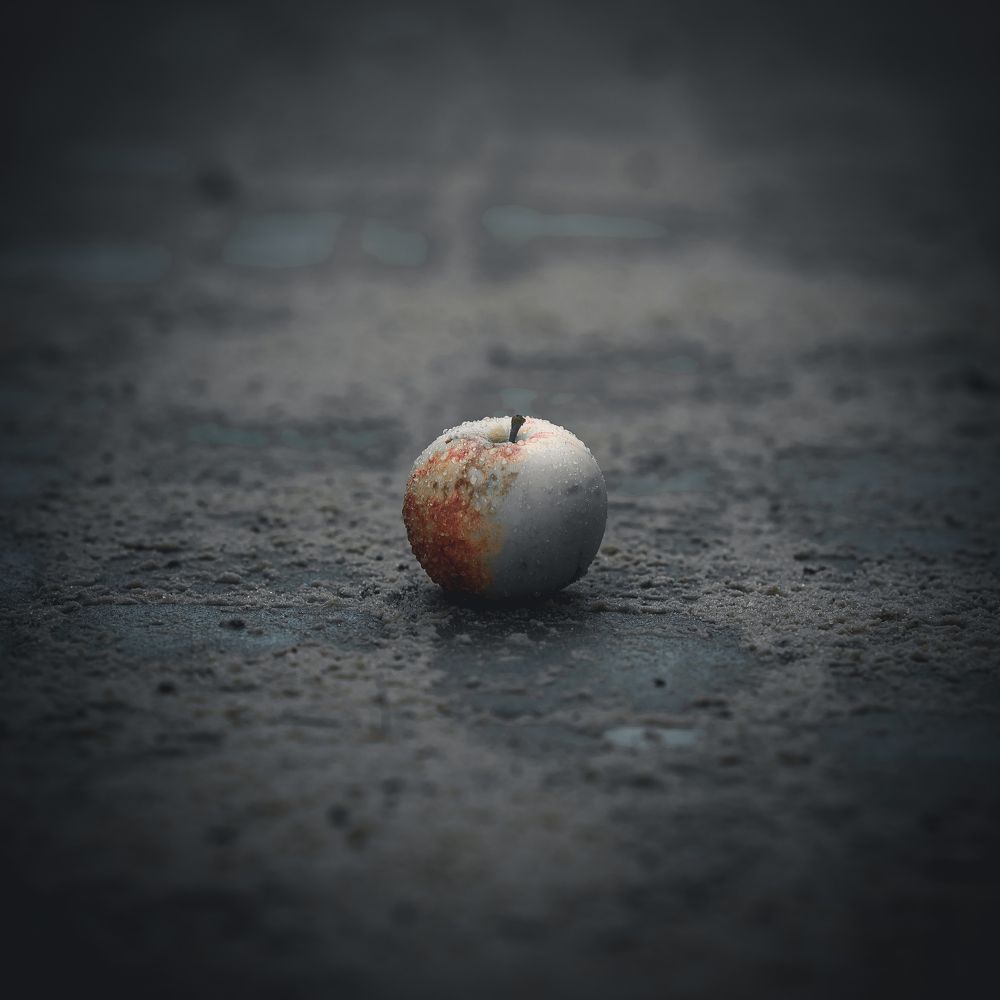 Photograph by Дмитрий Казачек