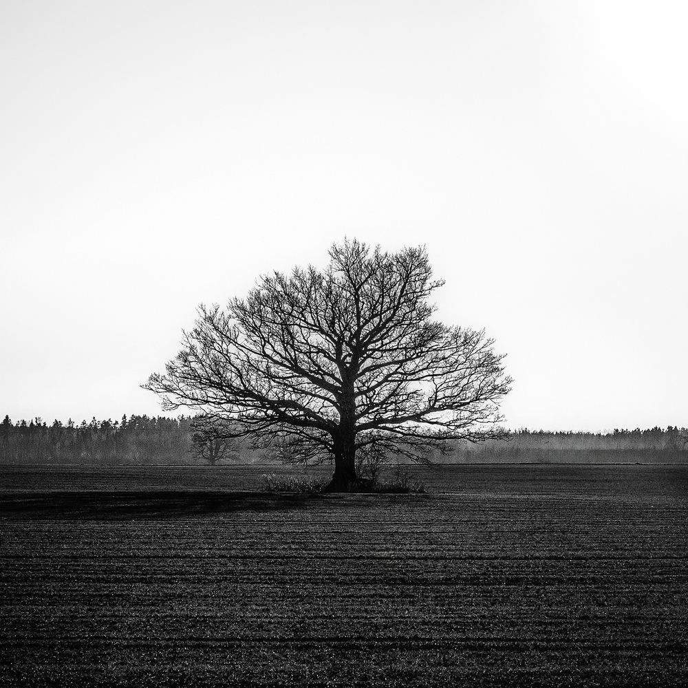 Photograph by Jurijs Rudzeiss