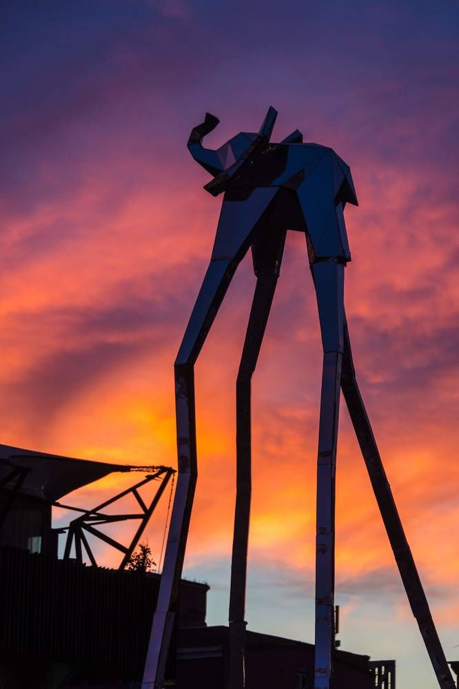 Photograph by Татьяна