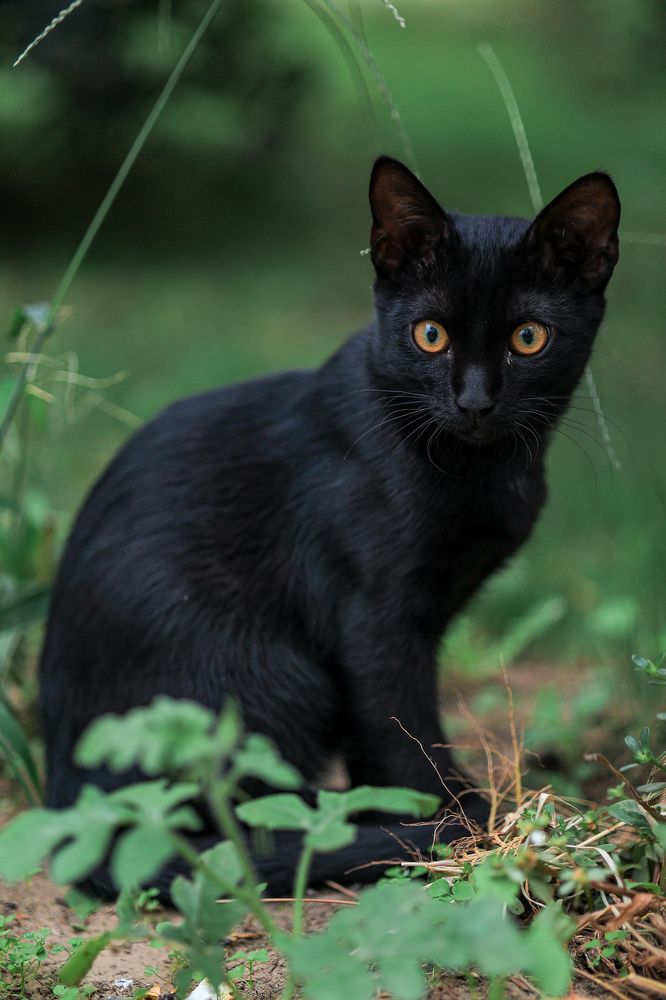 Photograph by Natalia Antipas