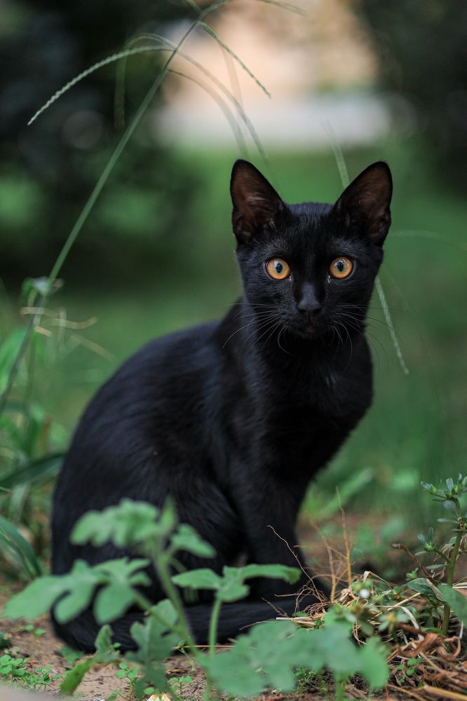 Photograph by Natalia Antipas